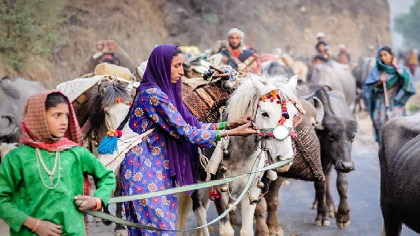 High Court Order: 24 वन गुर्जर परिवारों को बड़ी राहत, सरकार से कहा मुआवजा और जमीन दी जाए