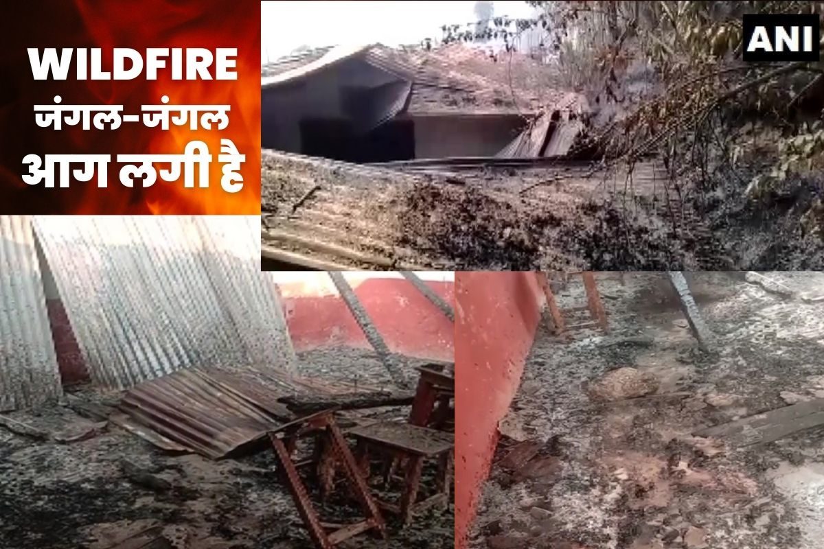 VIDEO: जंगल की आग बेकाबू, उत्तराखंड में एक दिन में रिकॉर्ड जंगल जले, चमोली में स्कूल हो गया खाक