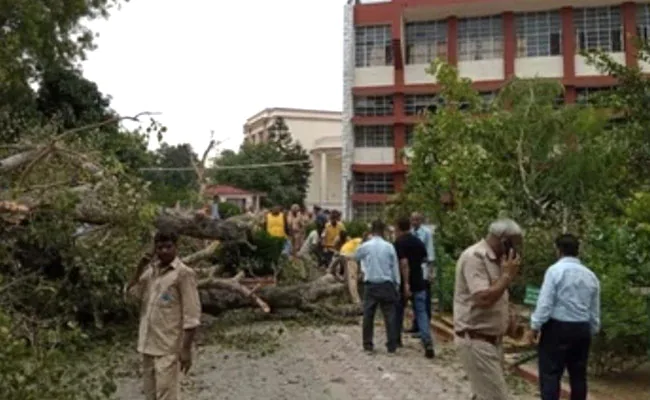 चंडीगढ़ : स्कूल में पेड़ गिरने से छात्र की मौत, कई घायल, अस्पताल में कराया गया भर्ती