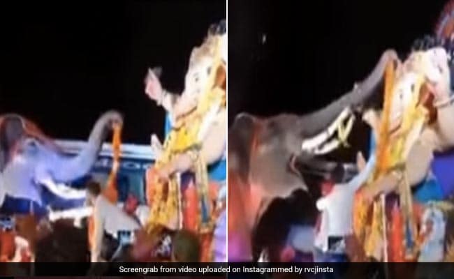 'गजराज' ने माला पहनाकर यूं किया भगवान श्री गणेश का वेलकम, लोग बोले- 'भक्त हो तो ऐसा'