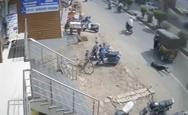 VIDEO: छात्रा से ड्राइवर ने पूछे अश्लील सवाल, चलते ऑटो से कूदी नाबालिग; 40 CCTV खंगाल पुलिस ने दबोचा आरोपी