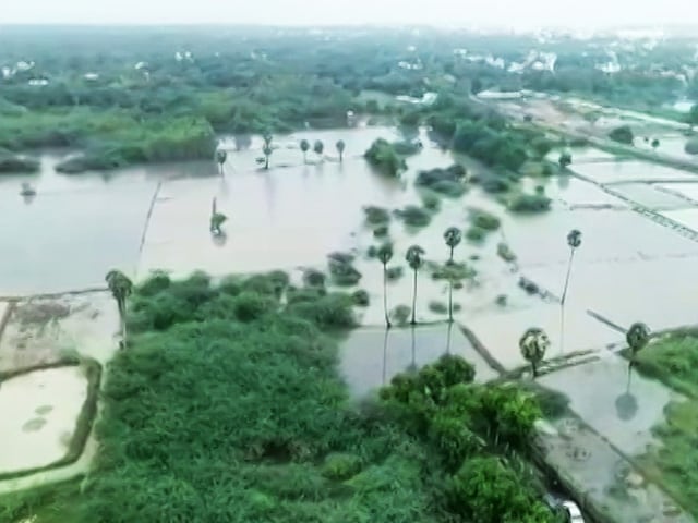 तमिलनाडु में सोमवार रात से शुरू हुई बारिश अब तक जारी, स्कूल बंद, कई क्षेत्रों में जलभराव