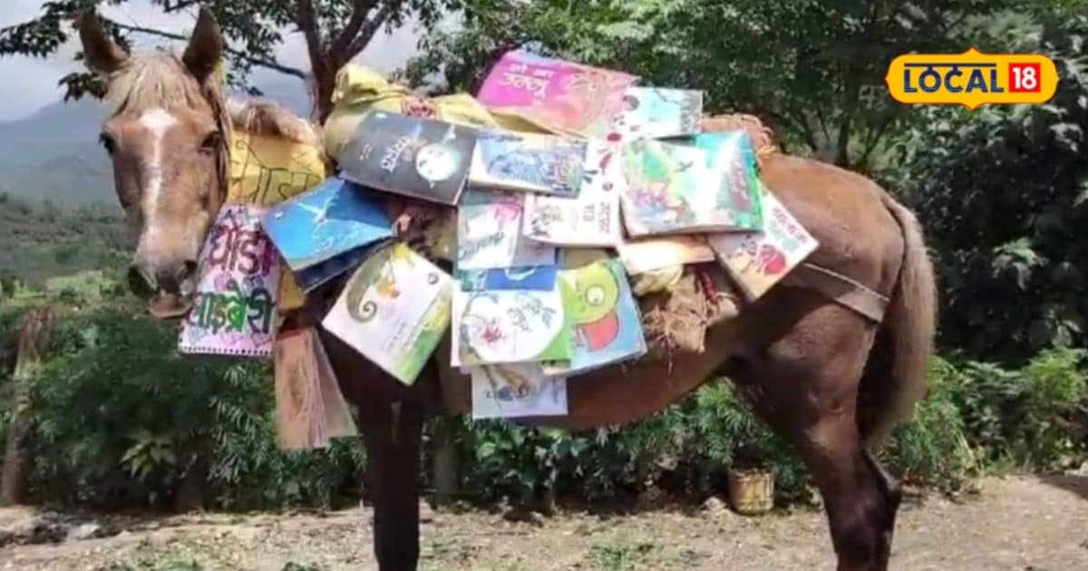 डिजिटल युग में पहाड़ों में घोड़ा लाइब्रेरी का क्रेज! जून 2023 से जारी है प्रयोग
