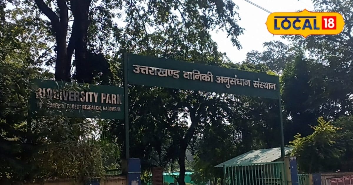 10₹ के टिकट में यहां मिलेगी औषधीय पेड़-पौधों की हर जानकारी! वन अनुसंधान केंद्र में ज्ञान का भंडार