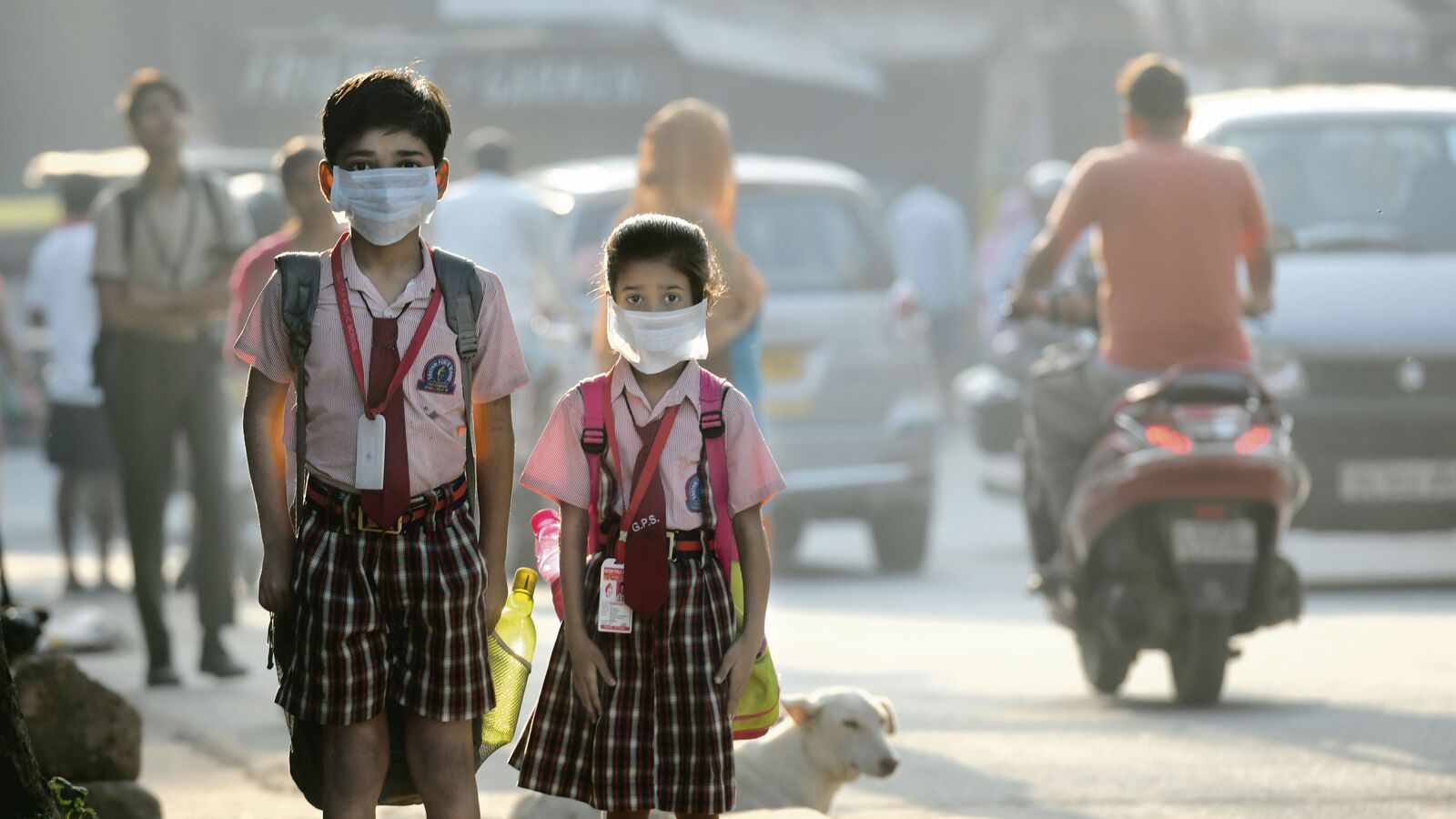 Will odd-even scheme hit Delhi next week? Govt says will study SC order first