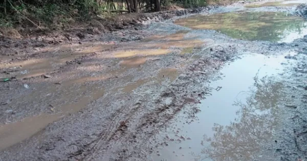 गोहाटा गांव की खस्ताहाल सड़क ग्रामीणों को दे रही दर्द