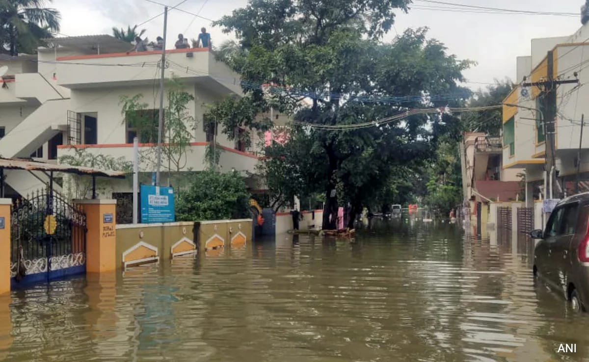 टीवी पर चल रहा था कबीर सिंह का सॉन्ग तुझे कितना चाहने लगे... कुत्ते ने भी मिलाया सुर, साथ में गाया पूरा गाना, Video वायरल