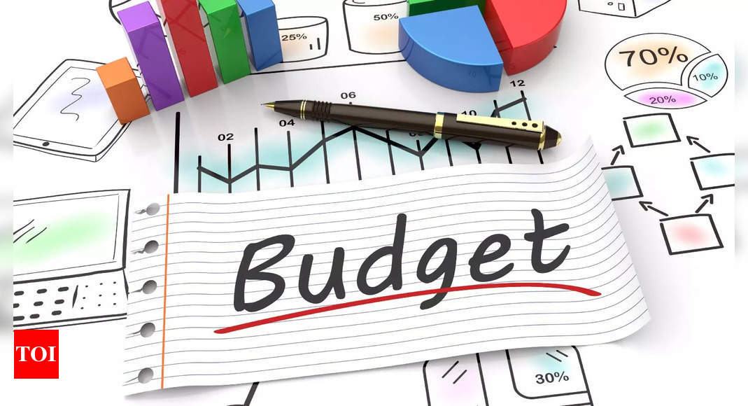 Union Budget 2024: Education Sector Eyes Enhanced Budget, Digital Advancements - Times of India