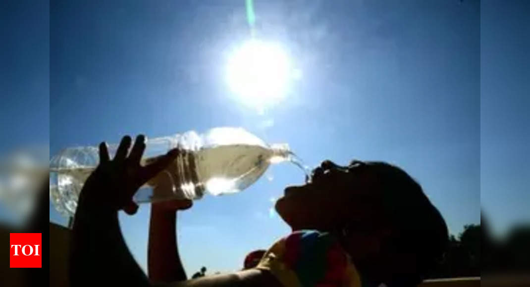 Tamil Nadu School Education Department warns schools against conducting special classes during summer vacation - Times of India