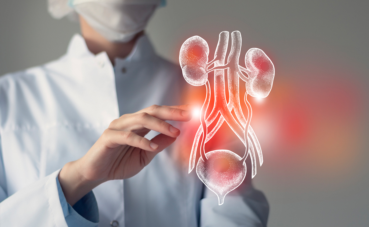 खाने में नमक, शरीर में फ्लूइड्स की मात्रा कम करके हो सकता है किडनी का इलाज, शोध में हुआ खुलासा