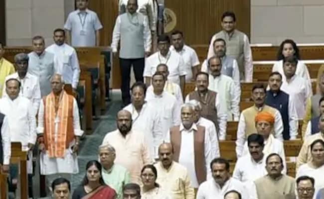 रोंगटे खड़े हो गए, पिता की इच्छा हुई पूरी... : संसद पहुंचे फर्स्ट टाइम MPs के ऐसे थे रिएक्शन
