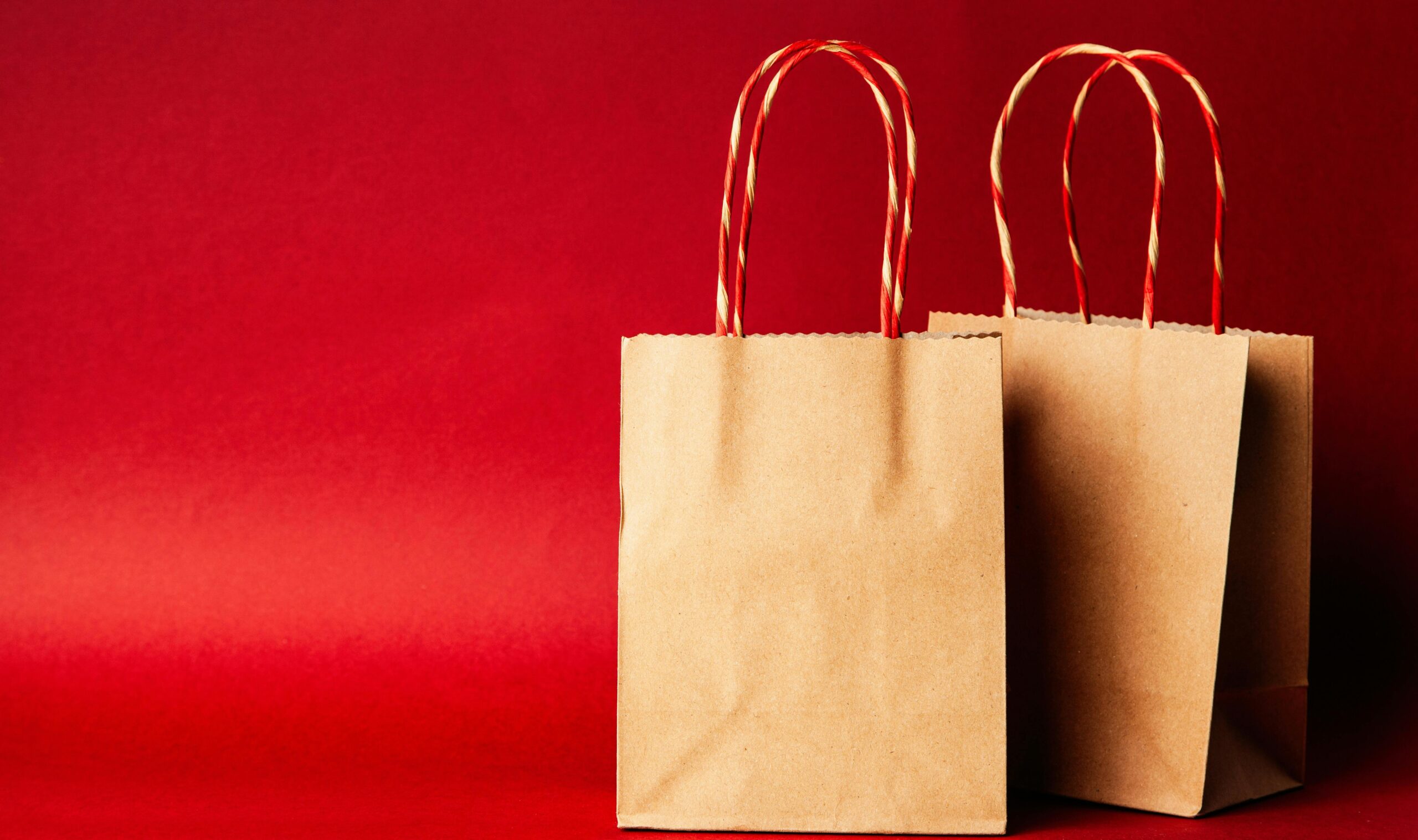 World Paper Bag Day 2024:  क्यों और कब मनाया जाता है ये खास दिन? जानिए कैसे हुए पेपर बैग की शुरुआत