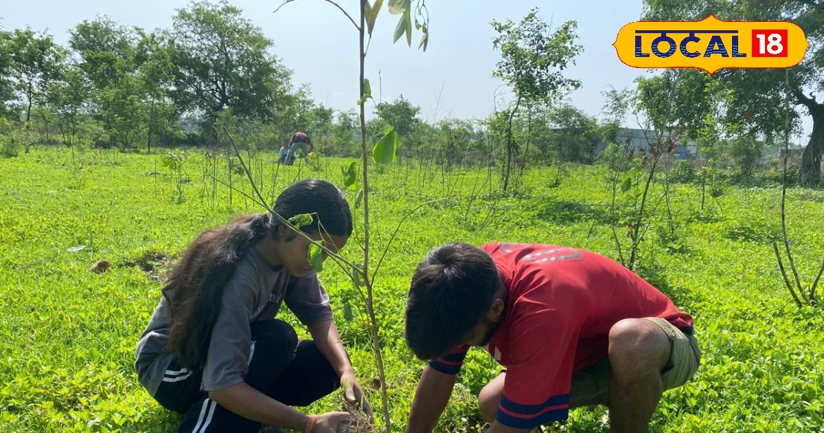धाद संस्था का विशेष अभियान, स्कूलों में बनाएंगे 'बाल वाटिका'