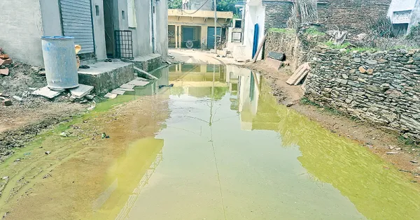 लापरवाही:  6 महीने से नहीं हुई ग्राम पंचायत सांवतगढ़ में नालियों की  सफाई