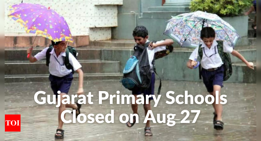 Gujarat primary schools to remain closed tomorrow due to heavy rains, state education minister announces - Times of India