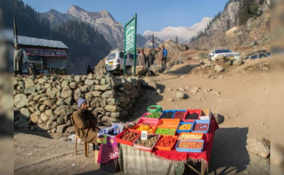 कश्मीर की घाटियों में सूखे मेवे का ठेला लगाने को मजबूर PHD स्कॉलर, आपबीती सुन लोगों के आंखों में आए आंसू