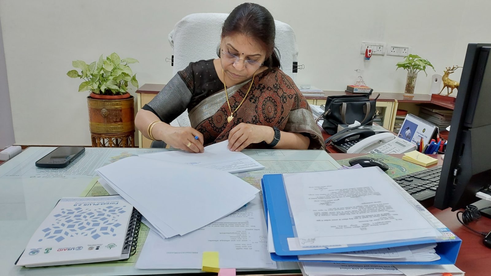 लखनऊ:-लोकल 18 पर मिलिए प्रधान मुख्य वन संरक्षक के पद पर तैनात यूपी की पहली महिला अफसर ममता संजीव दूबे से