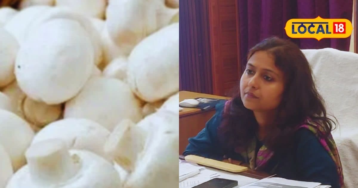 जिसे हीरोइन बनाना चाहते थे डायरेक्टर, उसी को दिया कैमियो रोल, पिट गई थी फिल्म