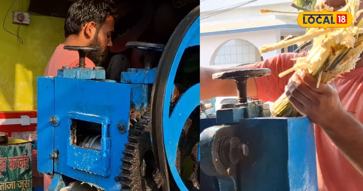देहरादून में 'गायब' हुआ बसंत... जनवरी में गर्मी ने दी आहट, लोग हो रहे परेशान