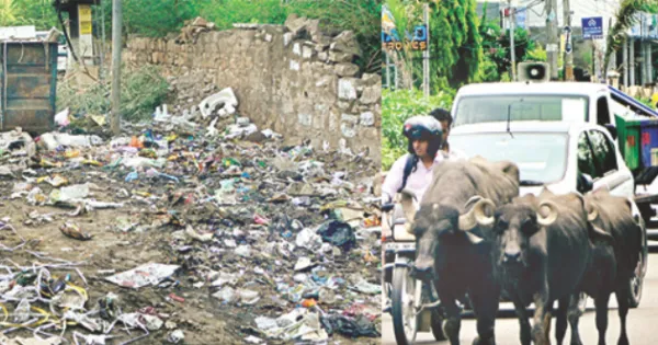 निगम कर रहा सफाई के दावे, हकीकत जनता के सामने