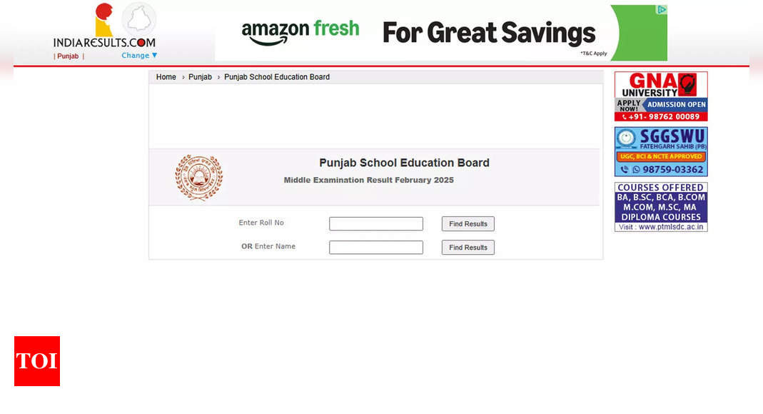 PSEB Class 8 Result Toppers 2025: Hoshiarpur boy secures top spot with 100% marks; Faridkot girl second, Amritsar girl third - The Times of India