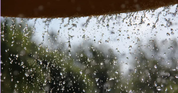 प्रदेश में मानसून सक्रिय, जयपुर, पाली, जोधपुर सहित कई जिलों में हो रही बारिश 