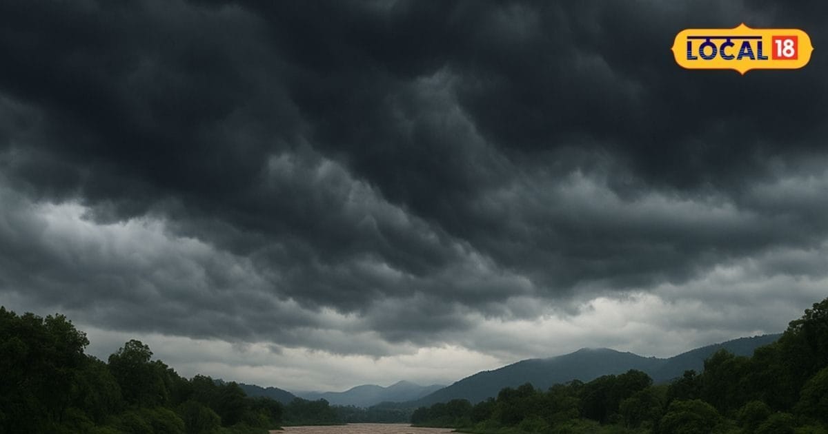 इतिहास मिटाया नहीं जा सकता... बलूच नेता ने आतंकवाद पर शहबाज शरीफ को किया नंगा