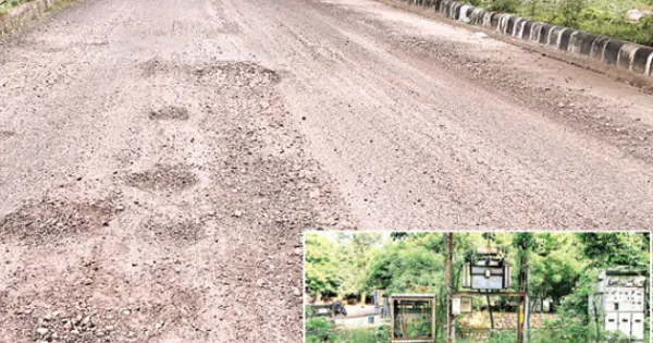 कोटा दक्षिण वार्ड 51 - बारिश में सड़कों के गढ्डे व आवारा कुत्तों से रहवासी परेशान