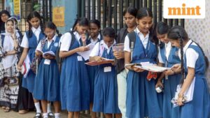 CBSE to issue refunds for technical glitches during Class 12 re-evaluation process after Education Minister seeks report | Mint